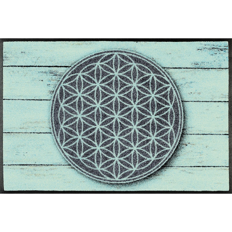 Pattern of Life|40x60cm|50x75cm