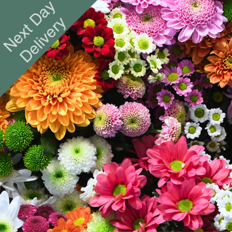 Wholesalers Choice (Next Day)|100|250|400|700|Mixed|Pink|White|Orange|Mixed