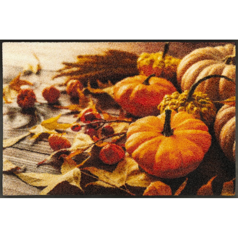 Pumpkin Glow|50x75cm