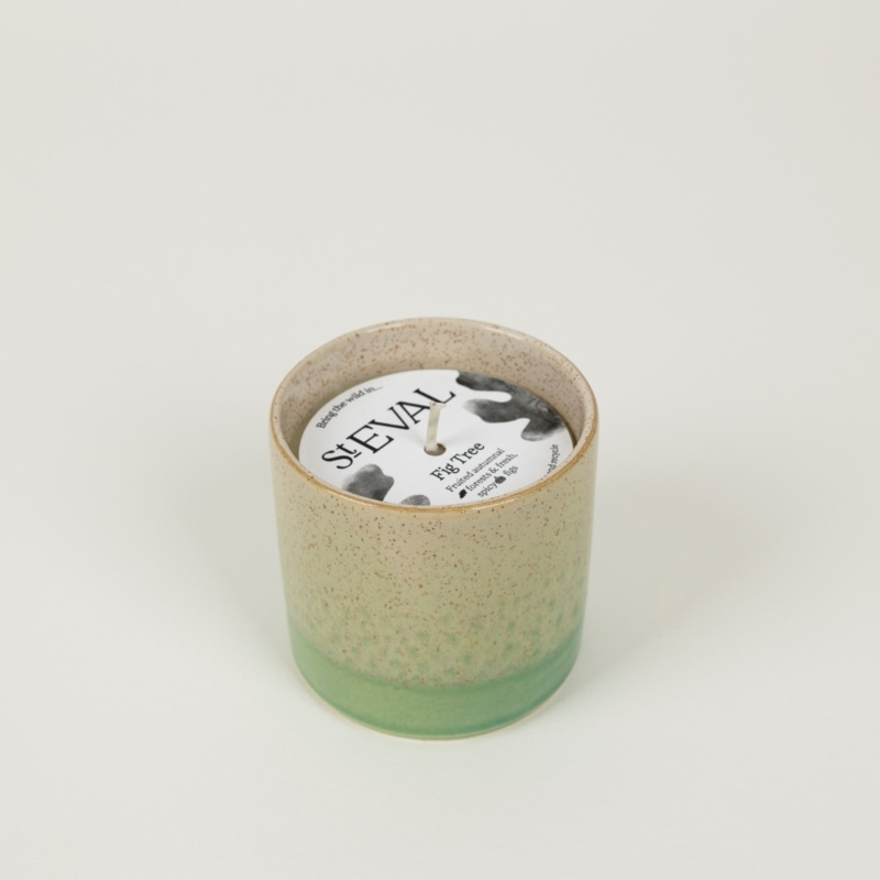 Fig Tree, Sea & Shore