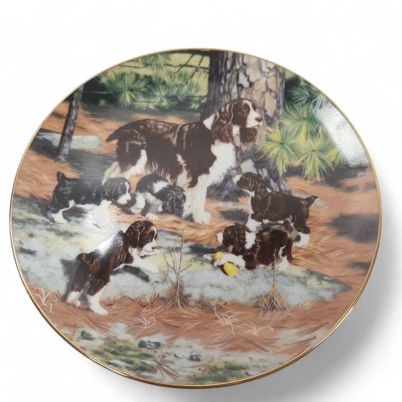 Classic Sporting Dogs Springer Spaniels Collector Plate | Preloved