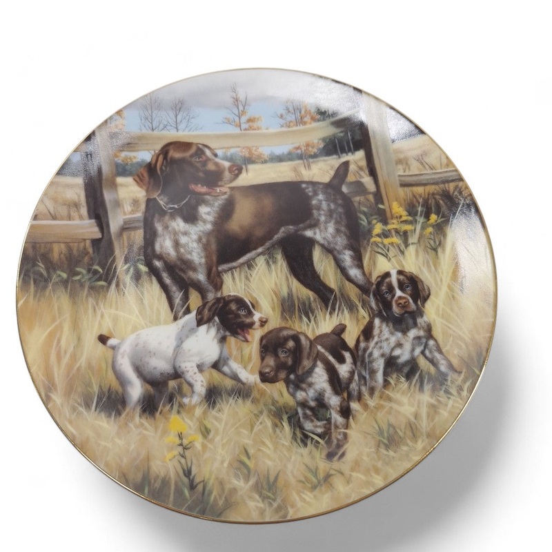 Classic Sporting Dogs German Shorthaired Pointers Collector Plate | Preloved