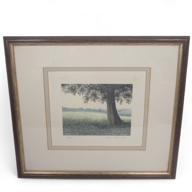 Steven Townsend Landscape Art Print 118/650 Framed L1 | Pre-Loved