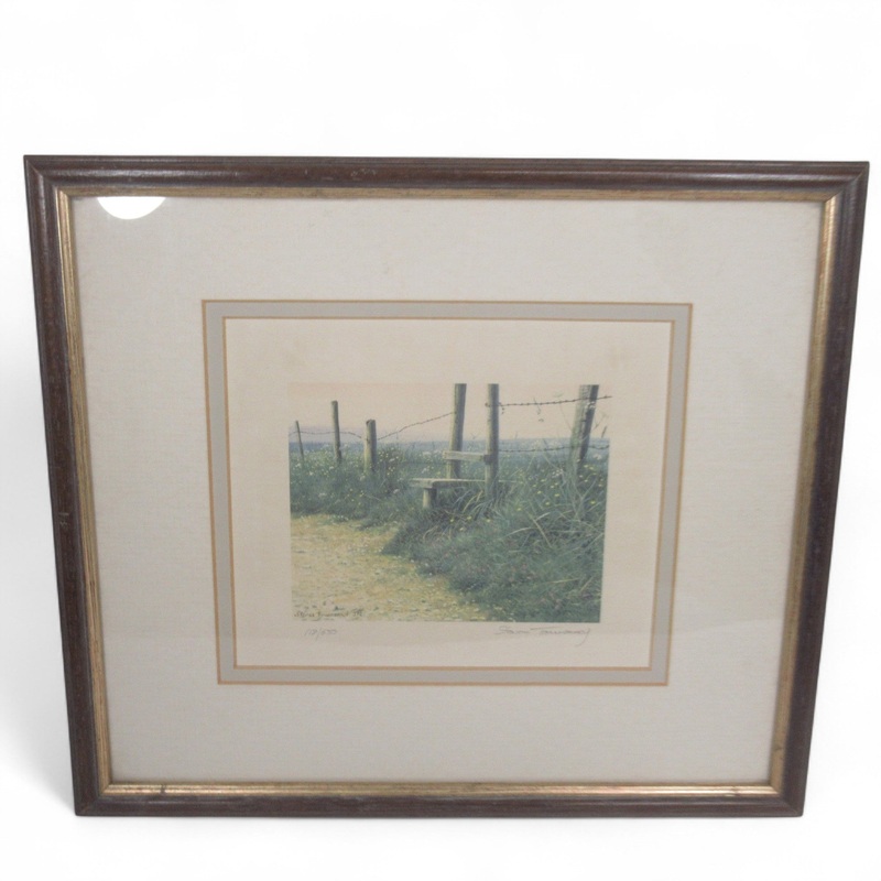 Steven Townsend Landscape Art Print 118/650 Framed L2 | Pre-Loved