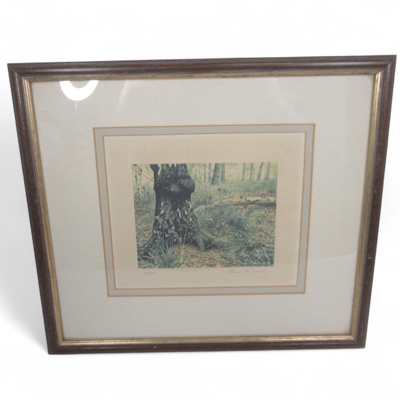 Steven Townsend Landscape Art Print 118/650 Framed L3 | Pre-Loved