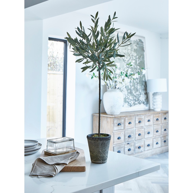 Olive Tree In Grey Stone Pot