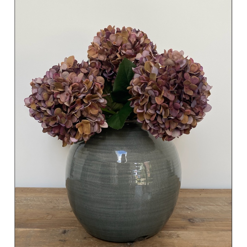 Burgundy Hydrangea