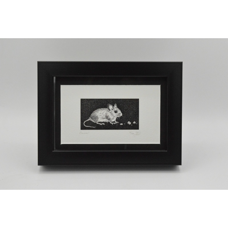 Crumbs! – Limited Edition Print by Jenny Davies