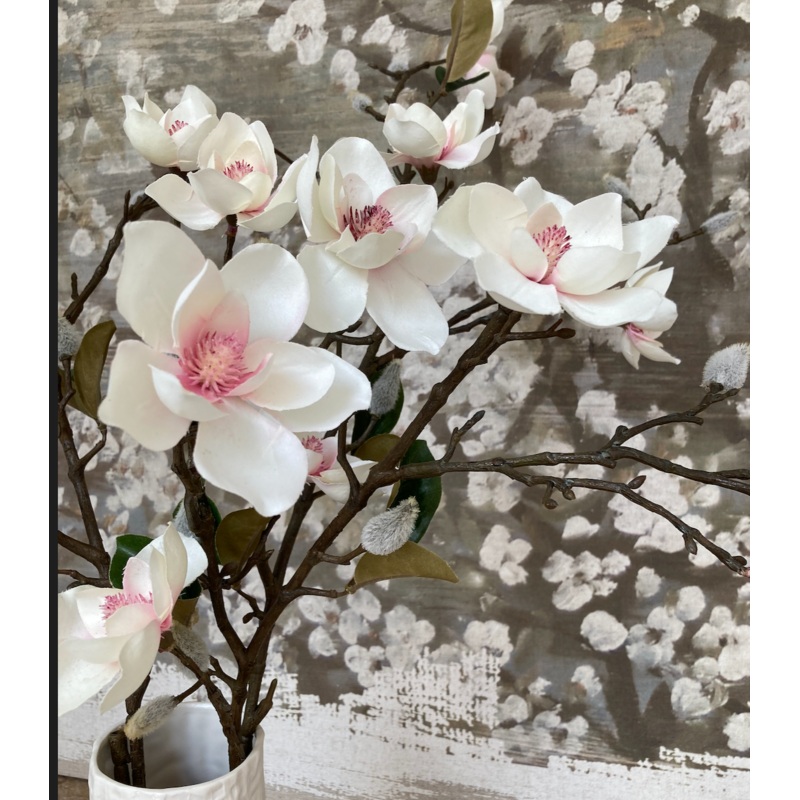 Magnolia Stems With Pink Centre