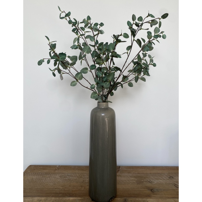 Tall Eucalyptus Stem