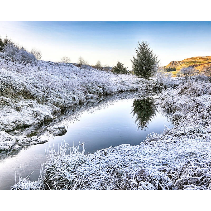 Frosty Day!|16×12 mounted|10×8 mounted|16×12 framed|A4 framed