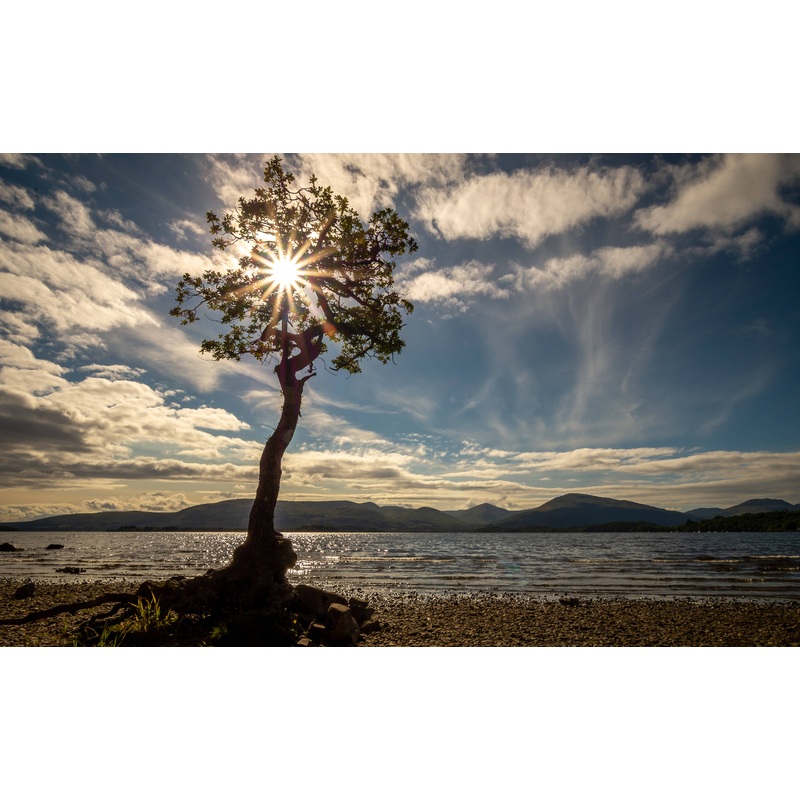 Loch Lomond Oak Sunburst (Small Frame)