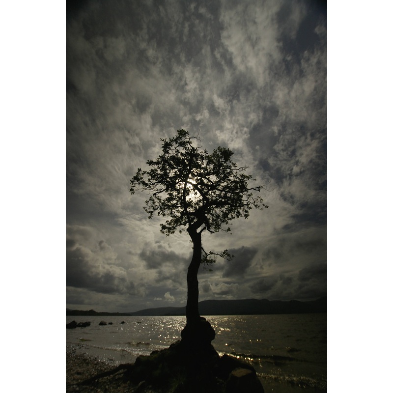 Millarochy Bay (Small Frame)