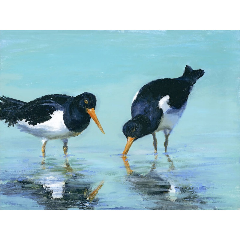 OYSTERCATCHERS I – GICLEE PRINT