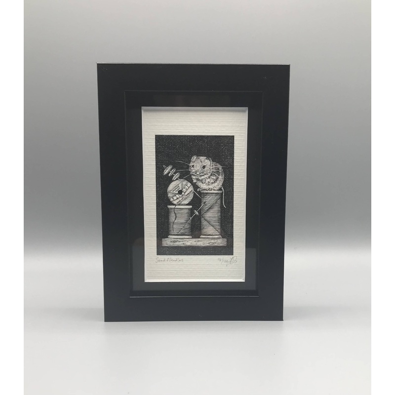 Seed Needles – Framed Limited Edition Print by Jenny Davies