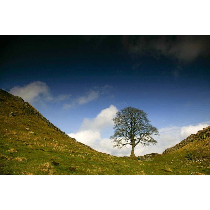 Sycamore Gap – Print in A4 Mount