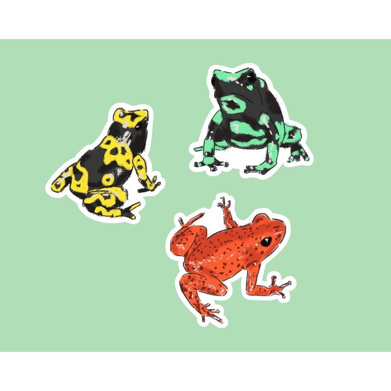 3 Poison Dart Frog Stickers (7x7cm) | Green, Yellow, Orange | Digital Drawings