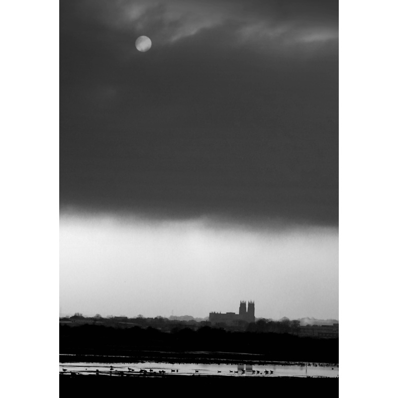 Beverley Minster over Figham Pastures
