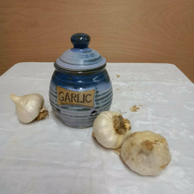 Plain Garlic Pot|Plain garlic pot