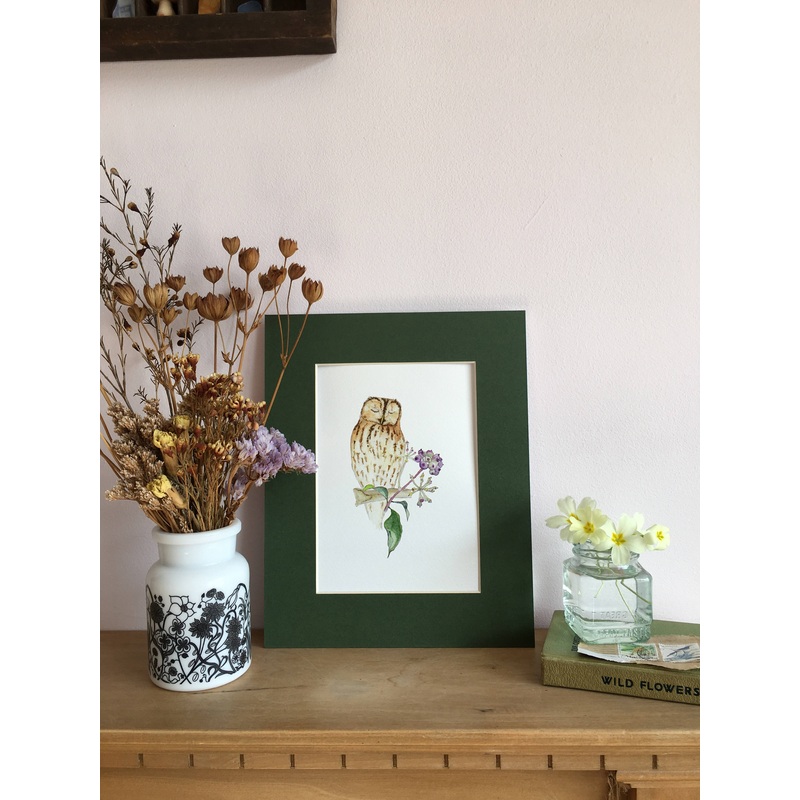 Tawny Owl and Ivy Berries Giclee Print