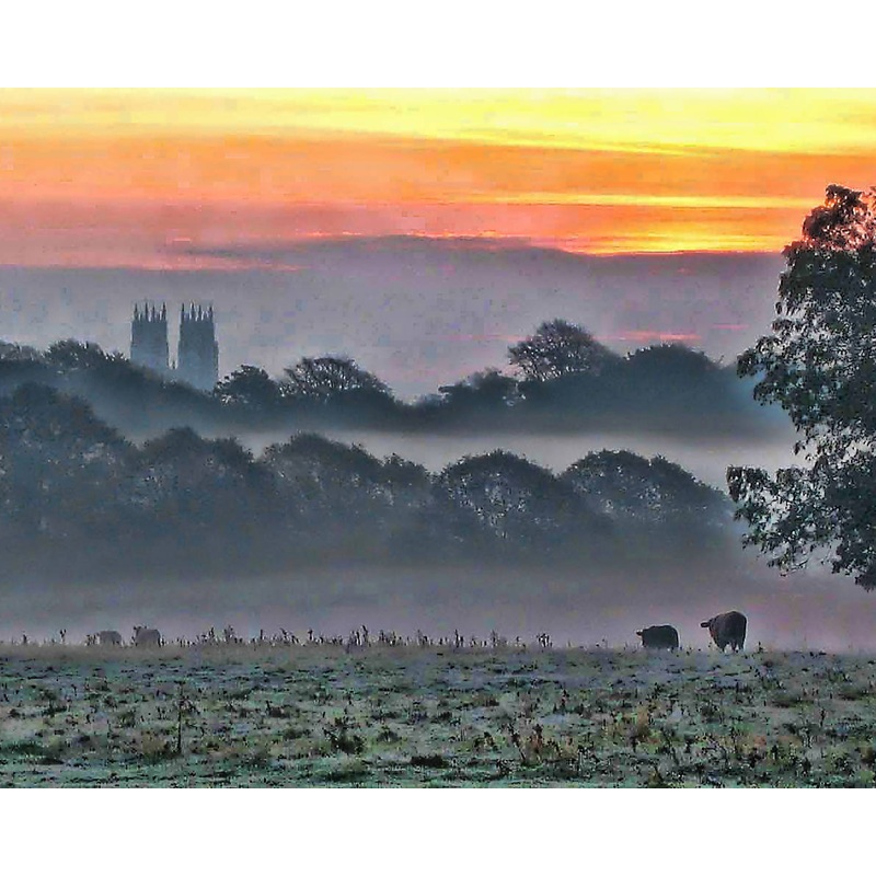 Beverley Minster Sunrise over Beverley Westwood