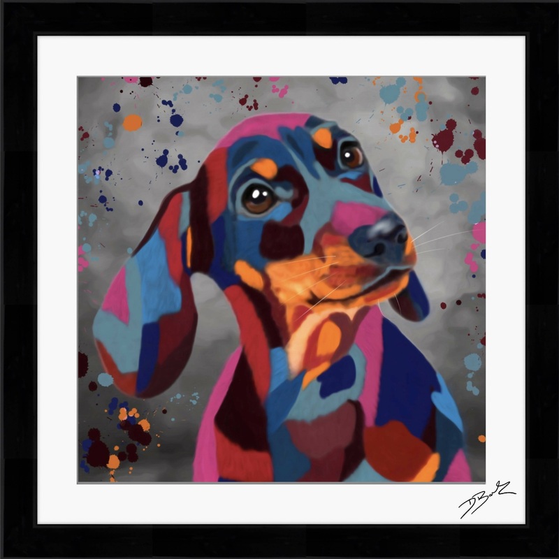 DACHSHUND DOG COLOUR SPLASH FRAMED ARTWORK.