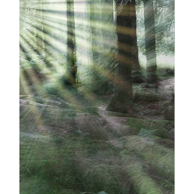 Early Morning Walk|16×12 mounted|10×8 mounted|16×12 framed|A4 framed