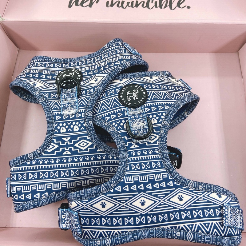 Aztec (Blue) Dog Harness|x small|small|medium|large