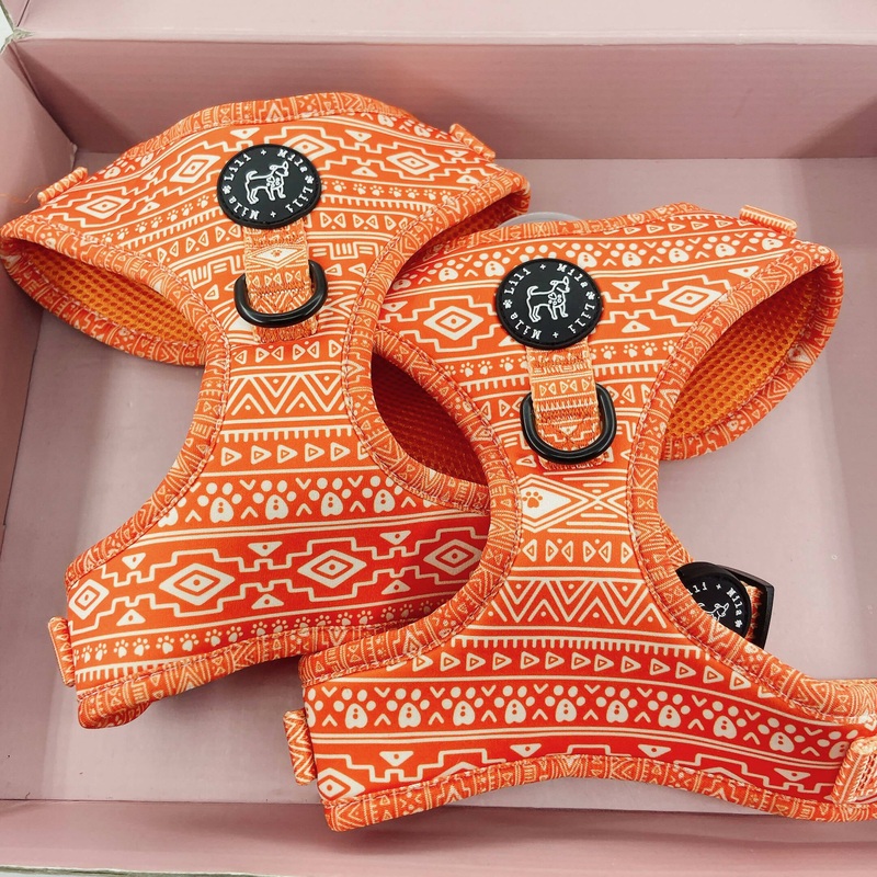 Aztec (Orange) Dog Harness|x small|small|medium|large