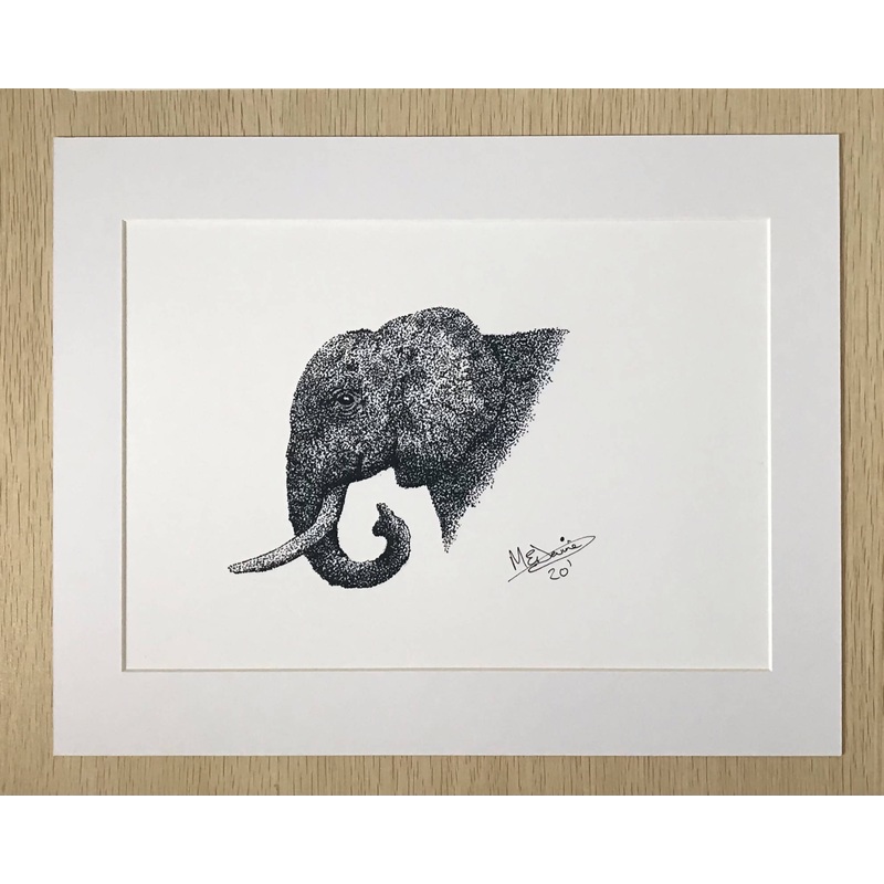 Elephant|White Mount|Black Mount