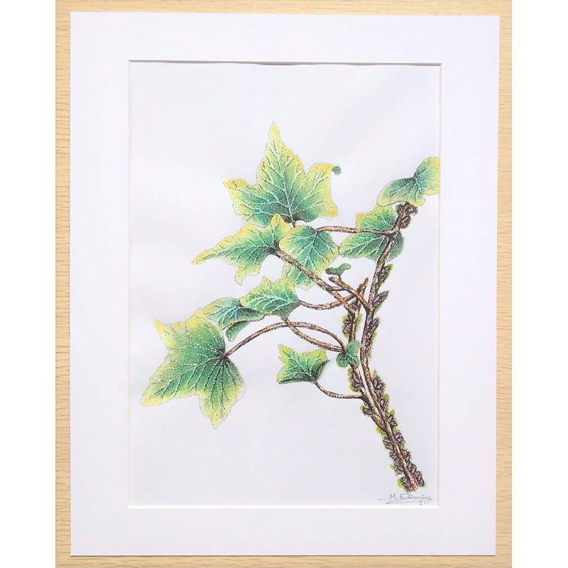 Ivy|White Mount|Black Mount