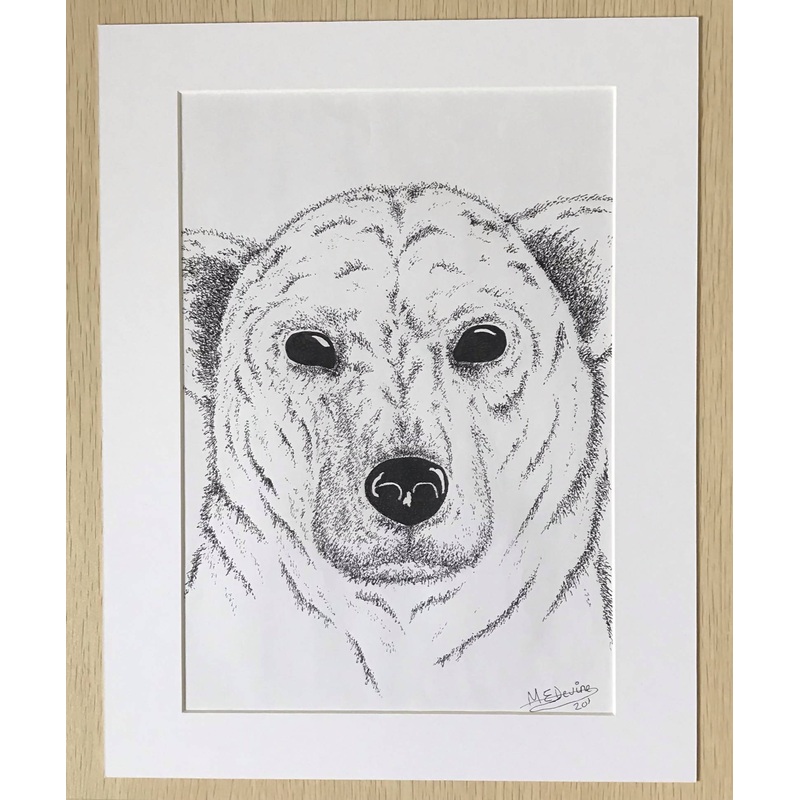 Polar Bear|Black Mount|White Mount