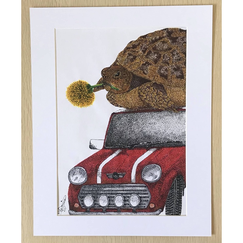 The Tortoise and the Mini|Black Mount|White Mount