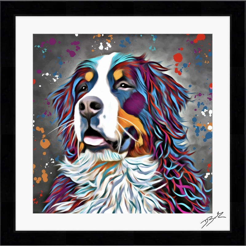 BERNESE MOUNTAIN DOG COLOUR SPLASH FRAMED ARTWORK.