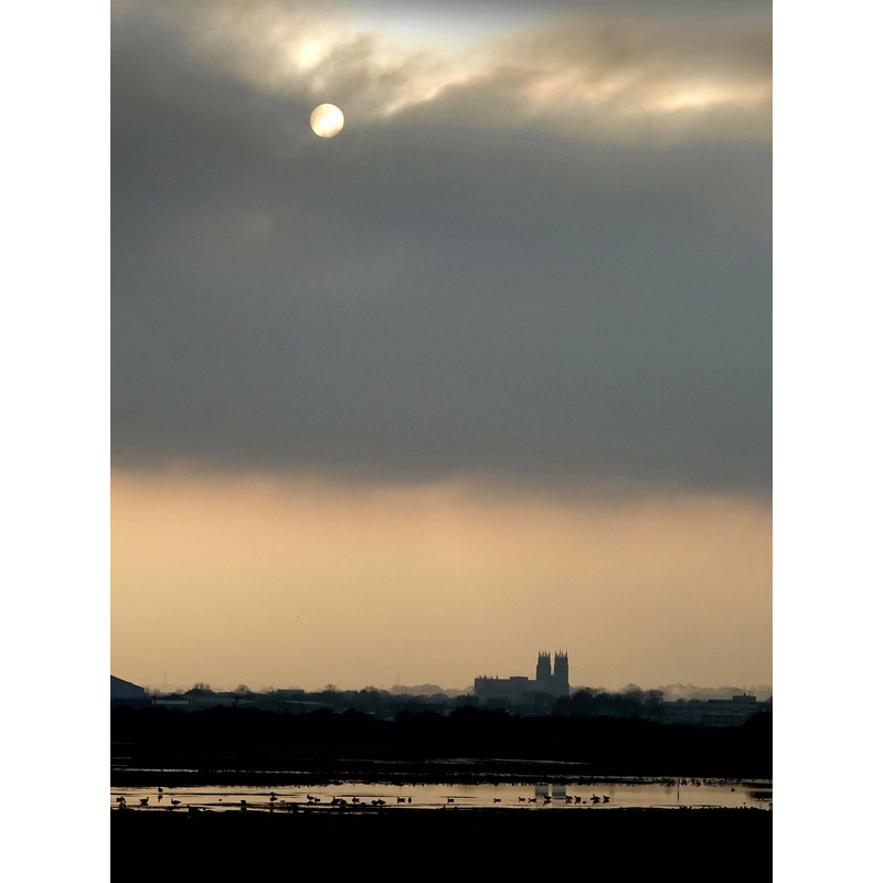 Beverley Minster over Figham Pastures Colour