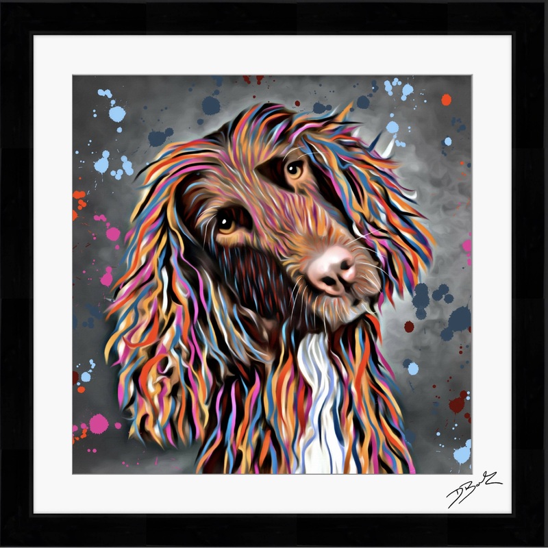 SPROCKER SPANIEL DOG COLOUR SPLASH FRAMED ARTWORK.