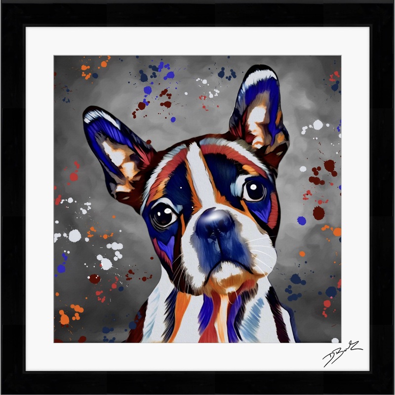 BOSTON TERRIER DOG COLOUR SPLASH FRAMED ARTWORK.