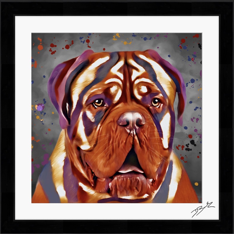 DOGUE DE BORDEAUX DOG COLOUR SPLASH FRAMED ARTWORK.