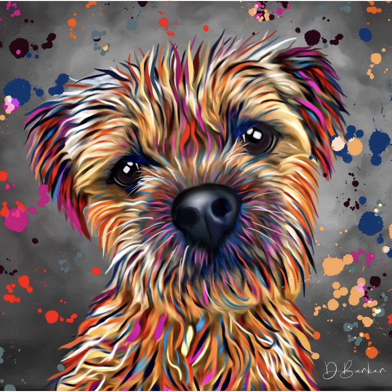 BORDER TERRIER DOG COLOUR SPLASH MOUNTED ARTWORK.