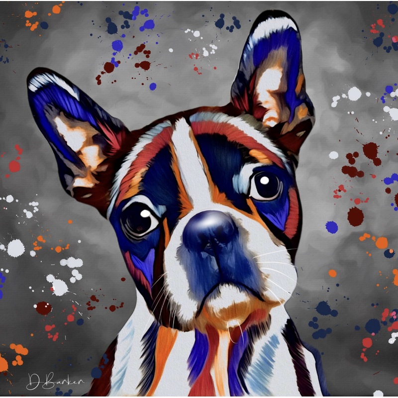 BOSTON TERRIER DOG COLOUR SPLASH MOUNTED ARTWORK.