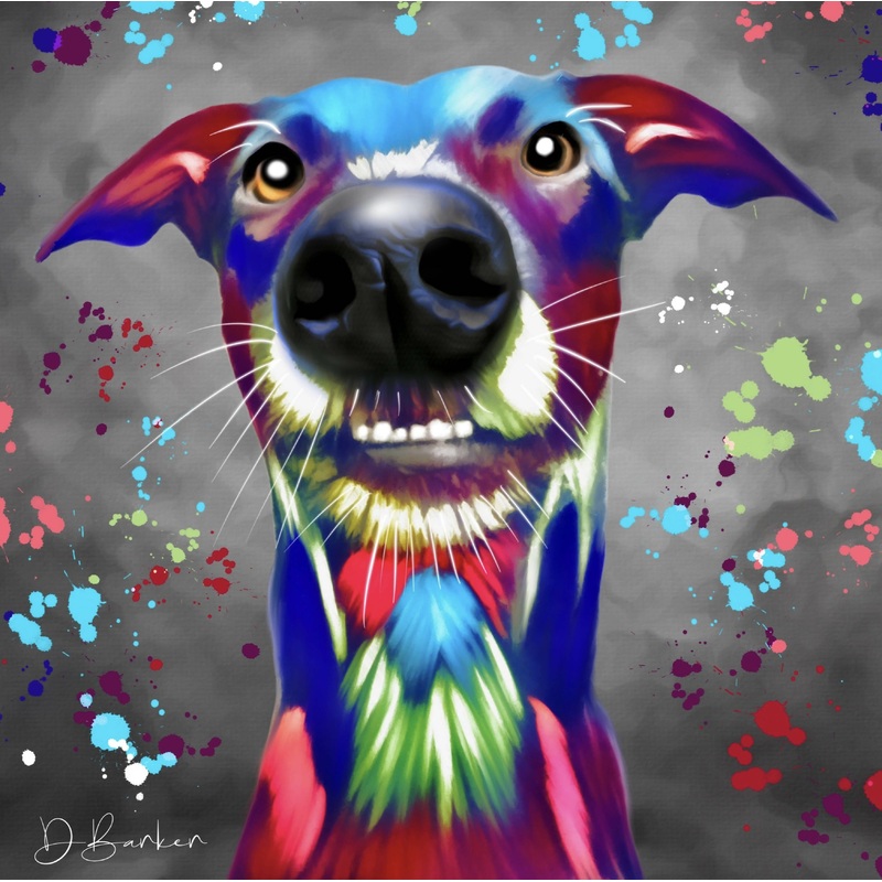 GREYHOUND DOG COLOUR SPLASH MOUNTED ARTWORK.