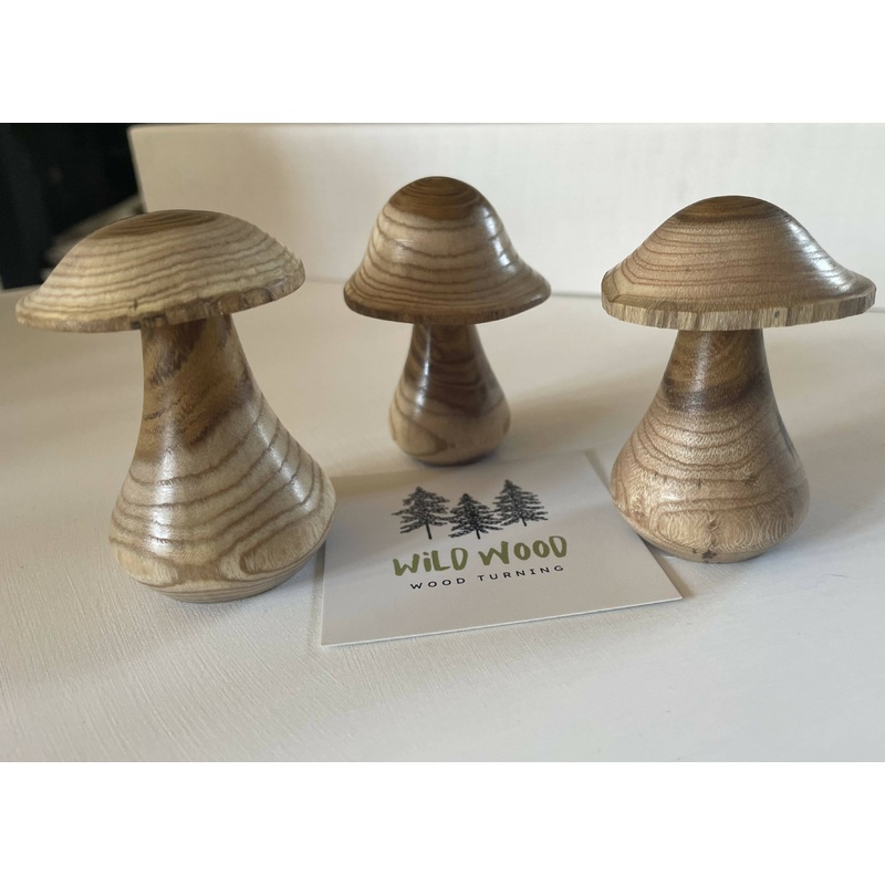 Hand Turned Wooden Mushrooms|Medium mushroom|Xtra large mushroom|Large mushroom|Small mushroom