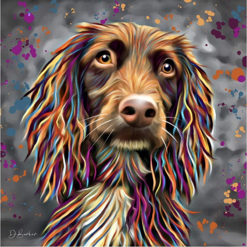 SPANIEL DOG COLOUR SPLASH MOUNTED ARTWORK.