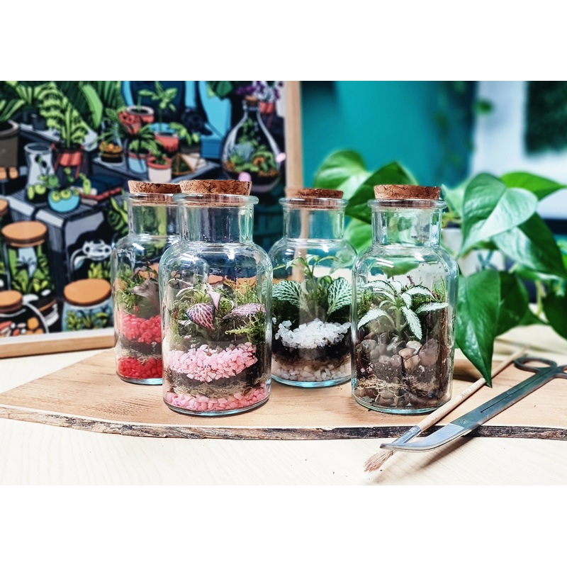 Colourful Small 250ml Terrarium