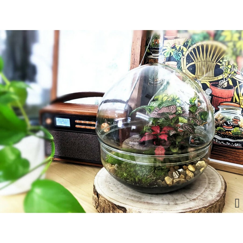 Egg Terrarium