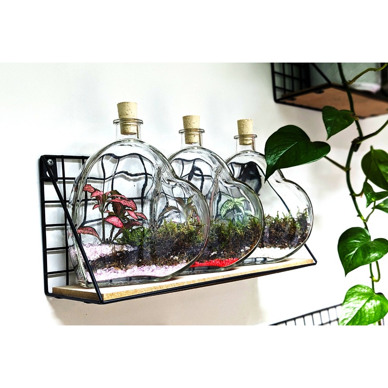Heart Terrarium|White|Pink|Red