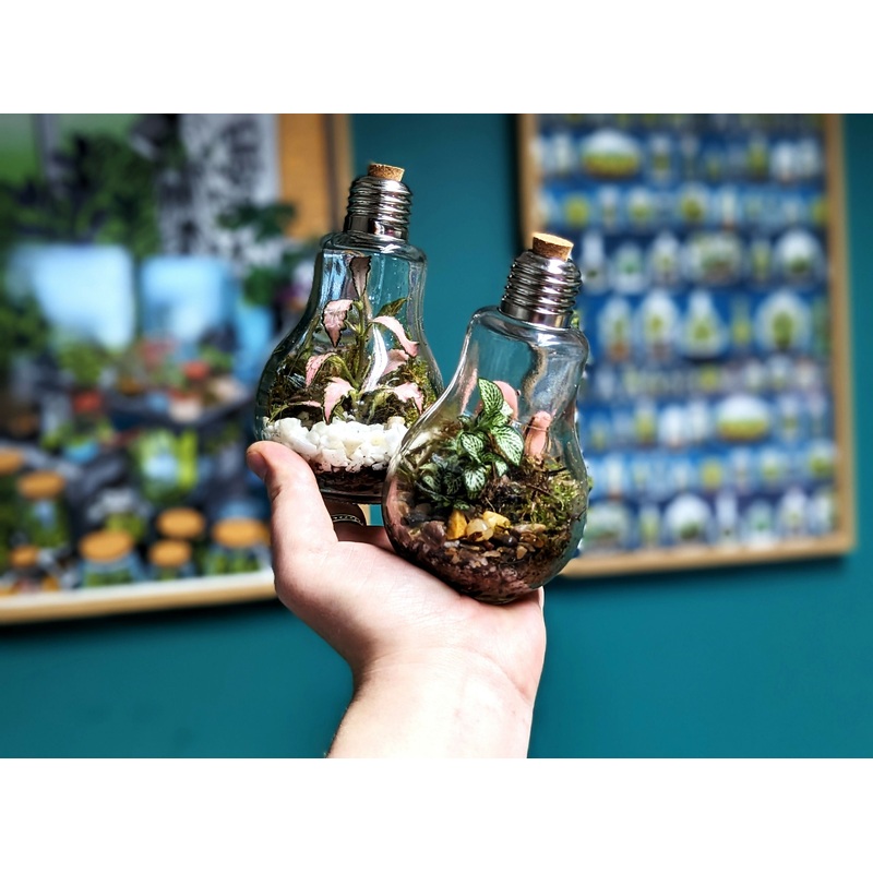 Miniature Light Bulb Closed Terrarium