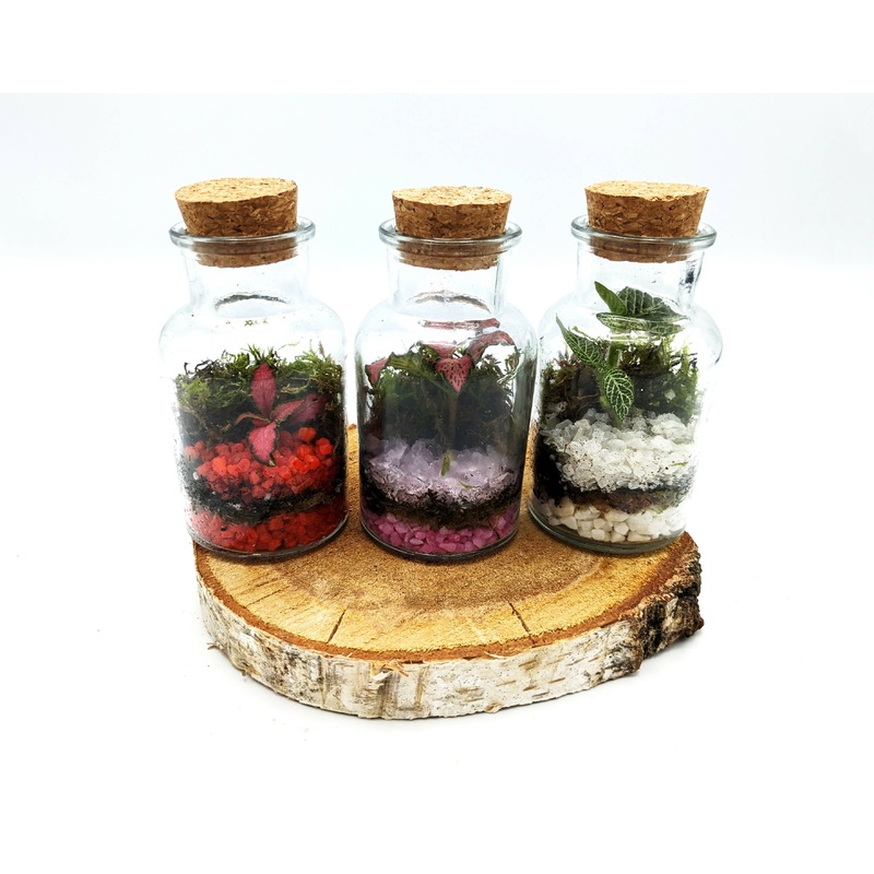 Small 150ml Bottle Terrarium|Red|White|Pink|Natural Stones