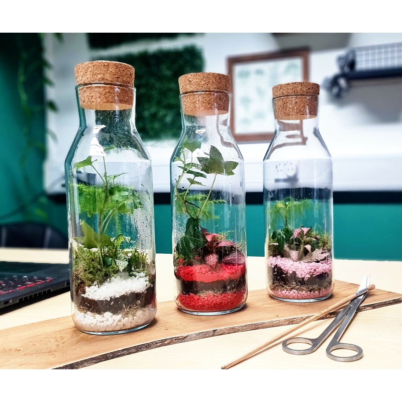 Tall Cork Top Terrarium|Tall Cork Top Bottle – Pink|Tall Cork Top Bottle – Red|Tall Cork Top Bottle – White