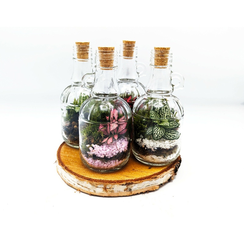 250ml Classic Demijohn|Natural Pebbles|Red Stones|Pink Stones|White Pebbles